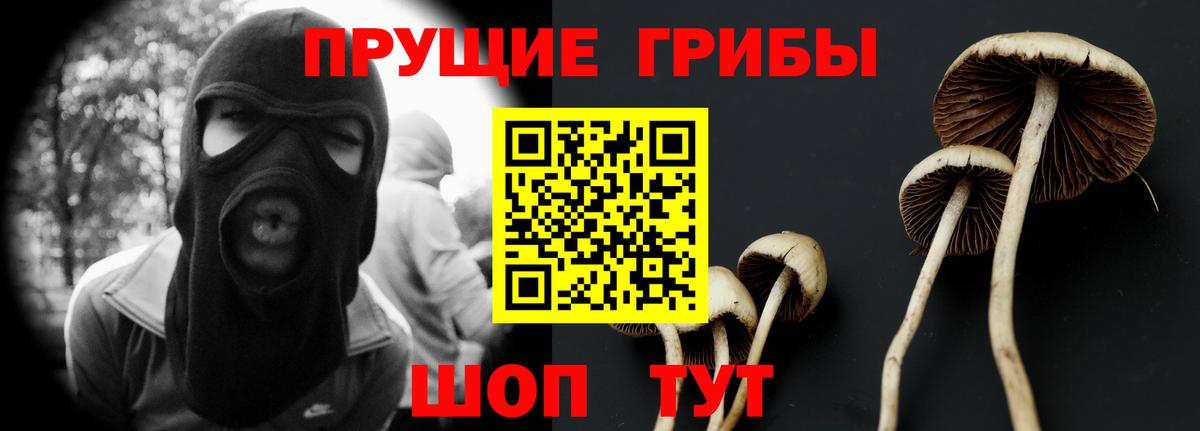 Псилоцибиновые грибы Psilocybe  Галлюциногенные грибы Cubensis  Вход с VPN  Скопин 