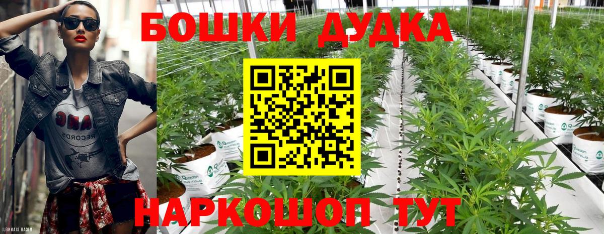 Конопля конопля Скопин